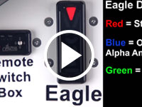 Eagle Display Transitions